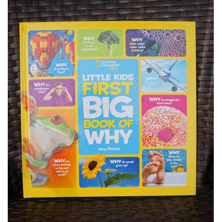 Little Kids First Big Book of Why